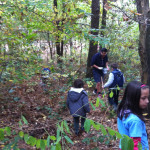 a castagne nel bosco