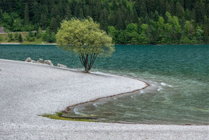 Fotografia di Gianni Basaglia